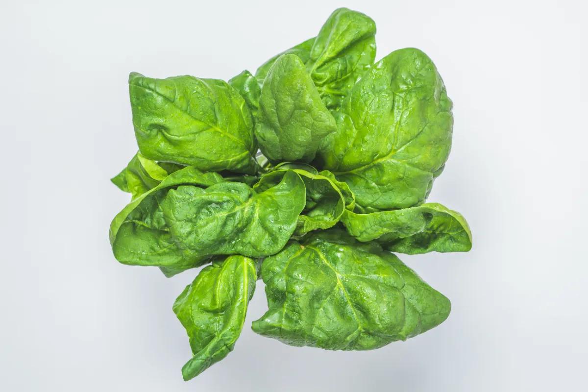 Magnesium: ett nyckelämne för hälsa och välmående